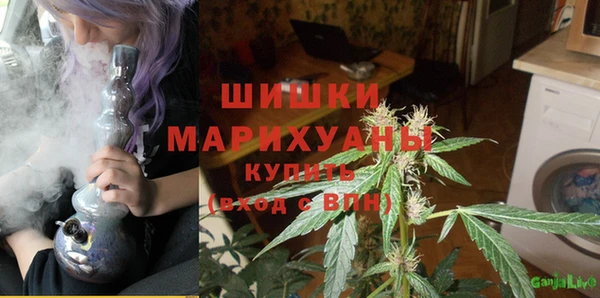 бошки Алзамай