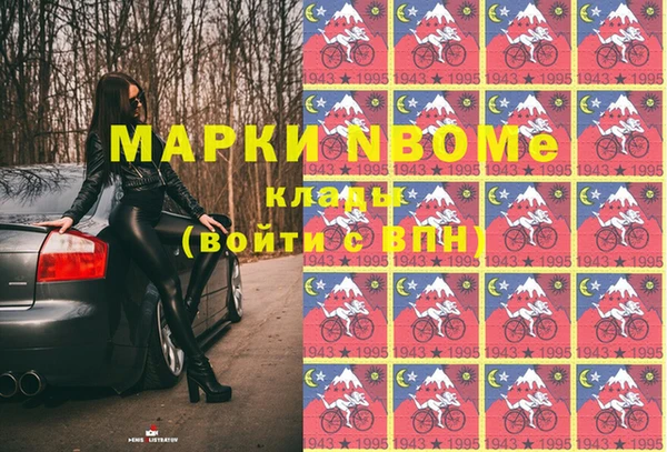 шишки Абаза