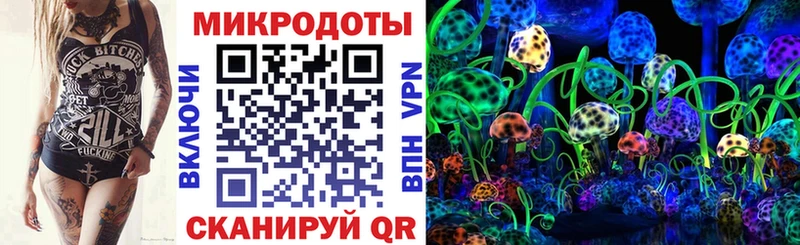 Псилоцибиновые грибы Cubensis  Лиски 